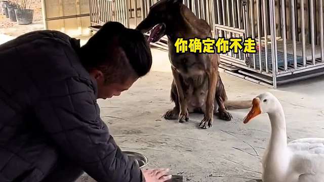 一看就是冲我来的