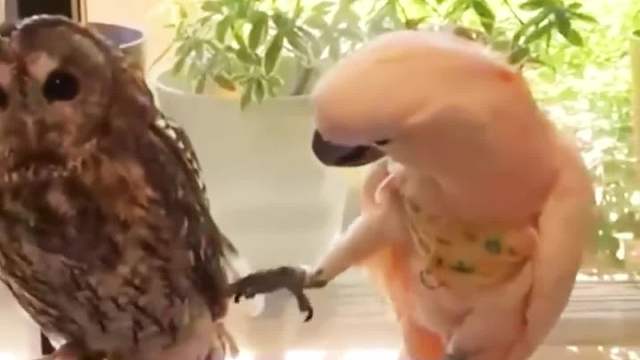 今天穿的怎么样