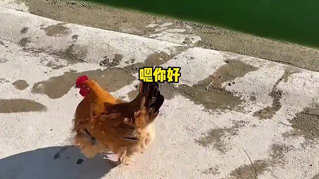 你好，外卖！