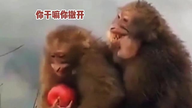 你的手怎么这么凉啊