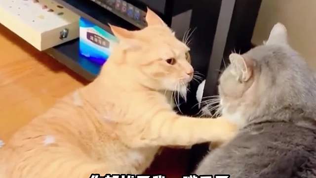 你真是一毛不拔