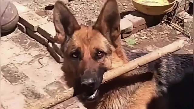 功夫，展示！搞笑配音