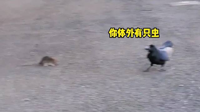 只是想给你帮个忙