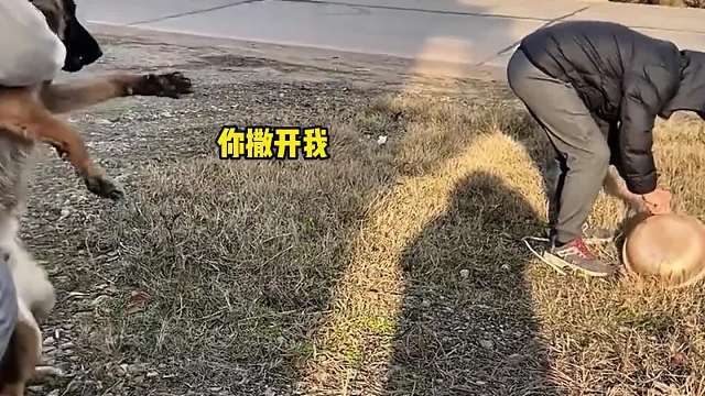 唯一的家产没了