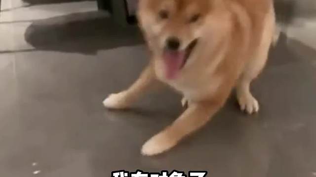 嘿嘿嘿有对象了