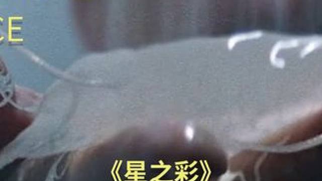 《星之彩》02 #科幻 #灾难 #解说电影