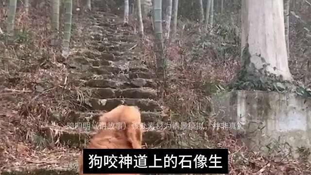 不良小狗。#睡前故事