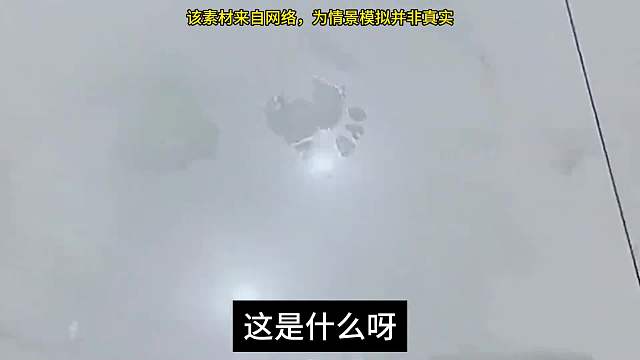 危险的合租。#睡前故事 #女性安全