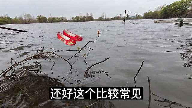 夜钓的时候水面飘来一顶帽子！三则钓鱼小故事#故事