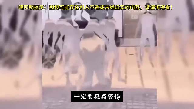大脑里虚构的朋友，练练变得诡异。#睡前故事