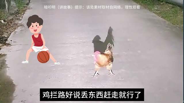 大鱼拦路。#睡前故事