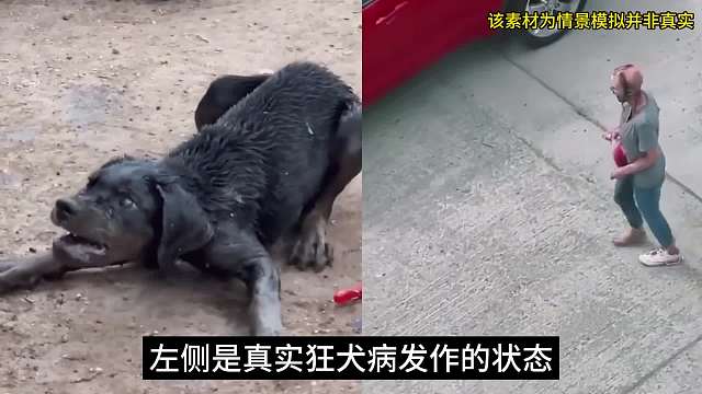 如果进入废土世界，尽快打造一座#旭日之城#DR#暗叩明