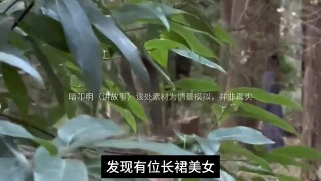 山中奇遇。#睡前故事