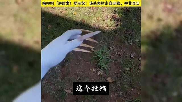 工地粽子。#睡前故事