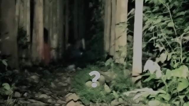 感谢大自然的馈赠#睡前故事