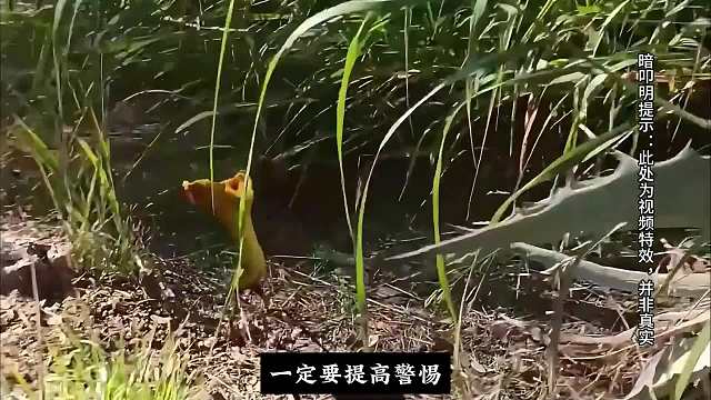 我与宇宙神兽拉普拉斯妖的对话。#科幻 #睡前故事 #暗叩明