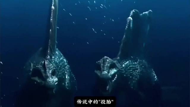 拥有远古海洋鱼的记忆是一种什么体验？#野兽领主新世界 #万兽聚集开拓领地 #睡前故事