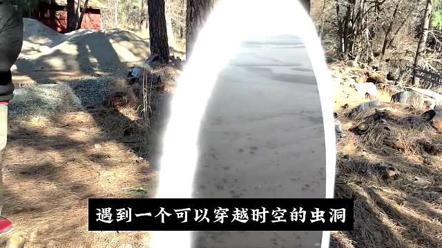 森林虫洞。#睡前故事 #科幻