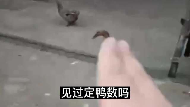 民间真的有高人吗？到底有多厉害？#睡前故事