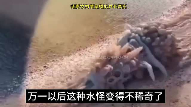 水怪人面鱼。#睡前故事