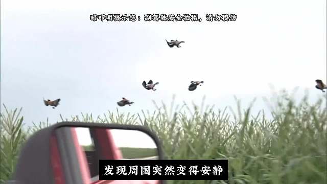 环形时空。#科幻 #暗叩明