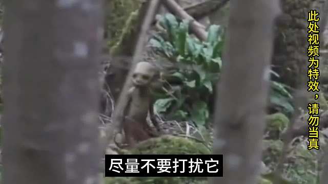 目击地精的奇妙回忆。#梦三国 #睡前故事#奇幻#影视