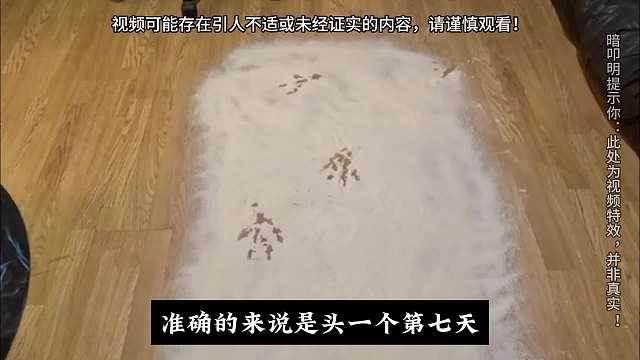 第七天罗生门。#睡前故事