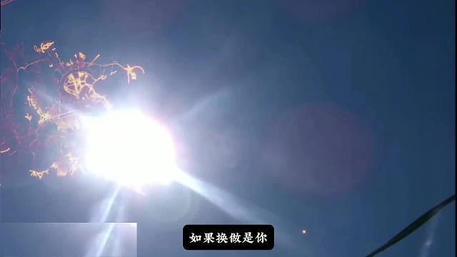 缸中之鱼。#睡前故事 #科幻