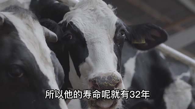 七支坐穿越到未来的开关，禅定中隐藏着时空法门？星际移民的关键第二集 未解之谜 禅 星际 冬眠 科幻