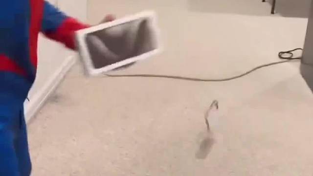 我让时间暂停，看都做了什么