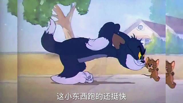 搞笑配音，鼠仗狗势，大猫伪装失败，幸亏反应快