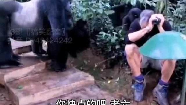 《伙食差》番外篇之老6是个瘾君子