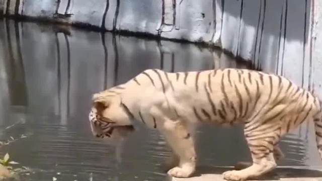 大哥你这是昨晚喝到几点啊？