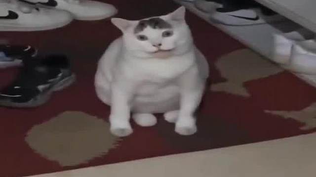 你们说这是咋了？