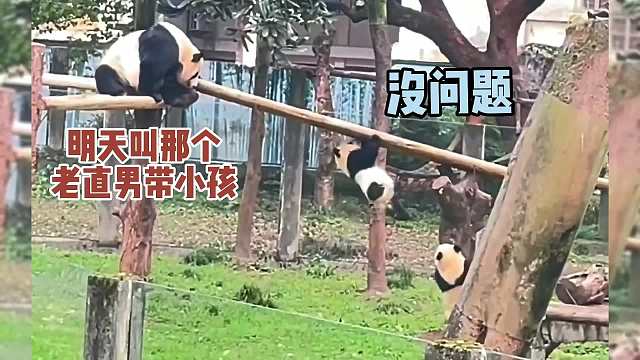 哥你接我一下好吗？