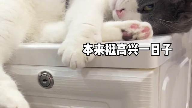 谁能告诉我哪能看出来插排瘦了？？