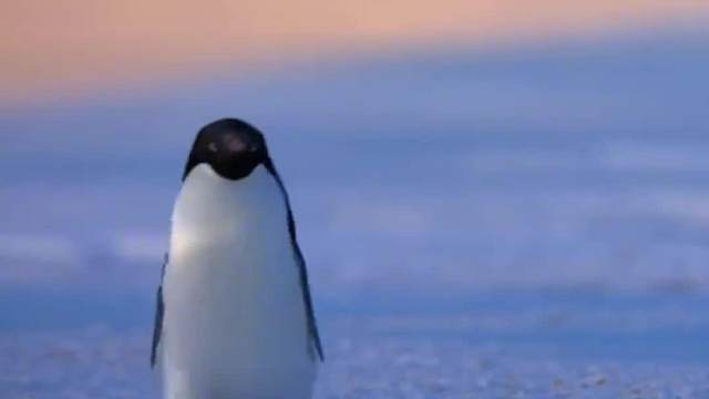 当南方人进入北方秋秋群