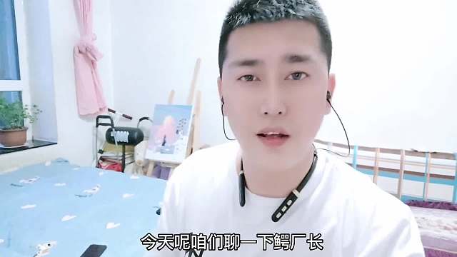 当鳄鱼碰到疣猪羚羊角角马和大象！