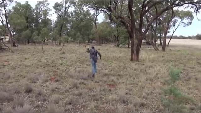 袋老二刚才发生了什么？你等着！