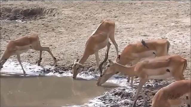 喝水时别开玩笑！