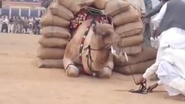 好长时间不干了！生疏了！