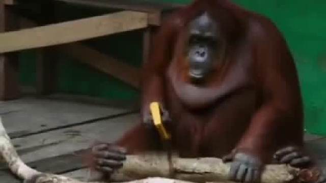 急脾气碰上慢性子！