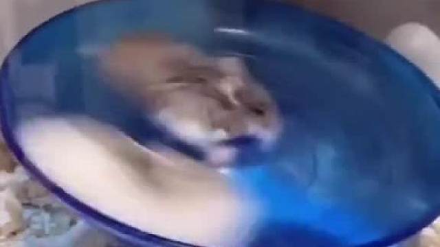 灰的速度真是哇哇的！