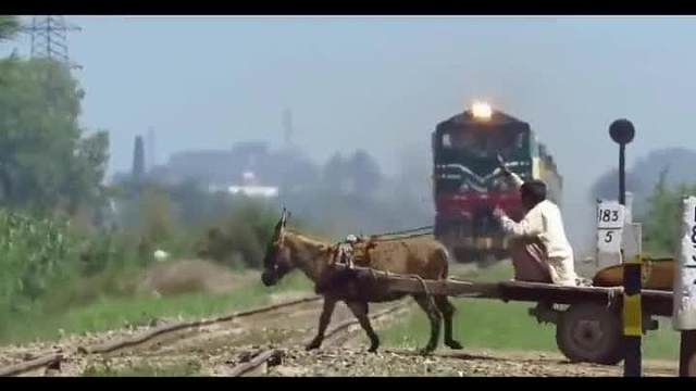 简单！省力！就是有点废驴！