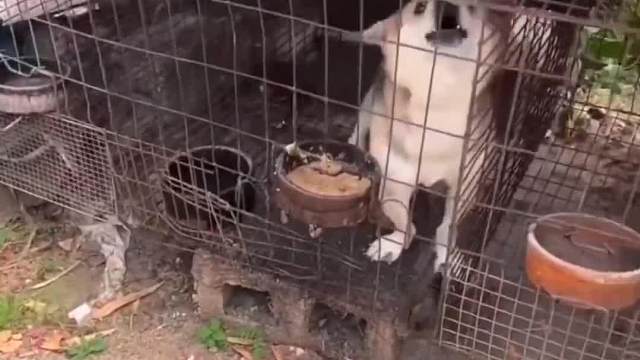 #搞笑#搞笑视频#搞笑配音，你干啥呢你，小心我对你不客气#看一遍笑一遍#专治不开心