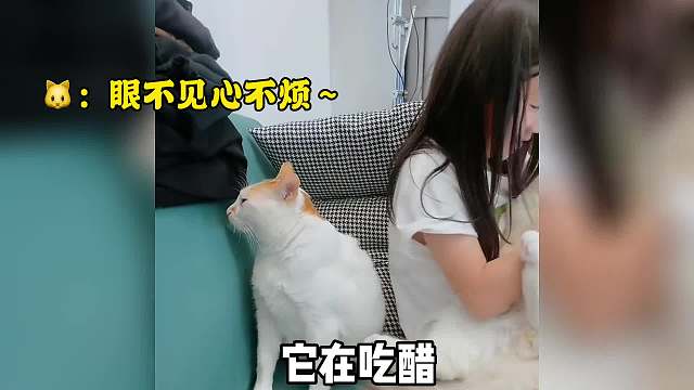 《嫉妒使猫咪面目全非》