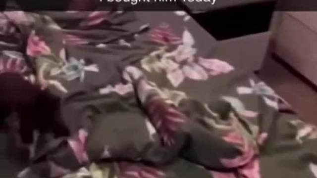 有点耐心 我们喵子最捉急