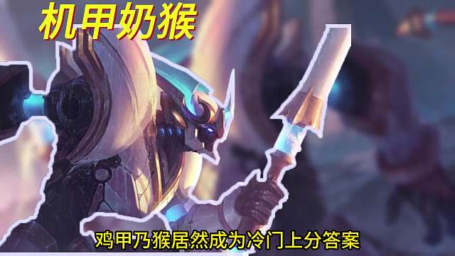 新阵容机甲奶猴