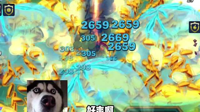 当九吉遇上九吉？金币爆爆爆！除了爆金币一无是处！