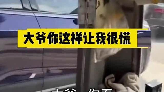 大爷：别吵，我要不拉你我都不会遇到这事儿